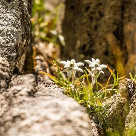 Hotel Johannesbad St. Georg